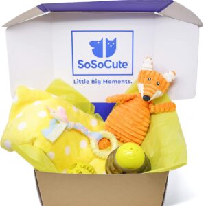 Yellow Dog Gift Box - Puppy Chew Toy Set of 5 - Care Package with Dog Blanket, Squeaky Plush, Rubber Puppy Teether, Teething Ball, and Treat Ball for Small and Medium Dogs