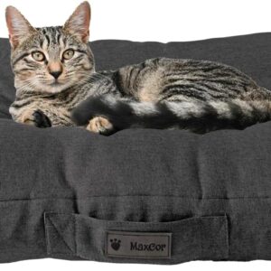 Small Rectangular Anthracite Memory Foam Cushion for Dogs and Cats - Waterproof and Relaxing - Relieves and Preserves Joints - Easy to Carry - Does Not Deform and Machine Washable