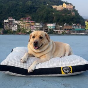 Wagging Tails Dog Bed Mattress with Waterproof Washable Removable Cover | Microfiber & Shredded Memory Foam Sofa Couch | Durable, Soft, Cozy Comfort Sleeping Bag for Elderly Pets, Cats & Dogs | Small