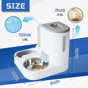 Automatic Cat Food and Water Dispenser Set 2 in 1, All-in-One Gravity Pet Feeder with Stainless Steel Cat Food Bowl Travel Auto Supply Feeder and Water Dispenser for Small Medium Cats Dogs (Gray)