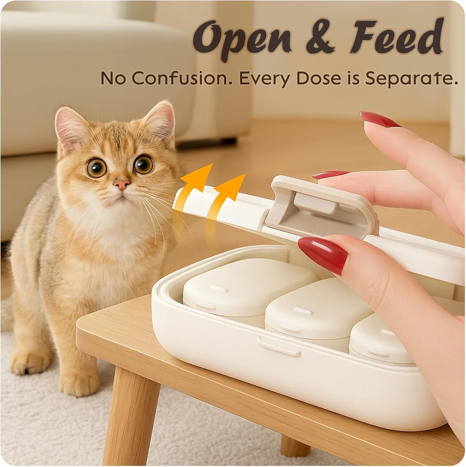 Cute 7 Day Pill Organizer Box with Medicine Labels, 8 Compartments Travel Pill Case Airtight Moistureproof, for Vitamins, Fish Oil, Supplements - Image 4