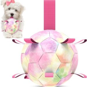 QDAN Premium Dog Toys Soccer Ball with Straps, Puppy Balls for Small Medium Dogs, Dog Water Toys Pool Toys, Puppy Dogs Pet Birthday Gifts, Rainbow（6 Inch）