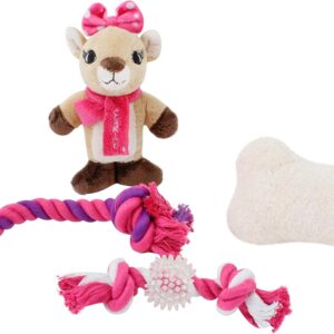 DanDee Rudolph The Red-Nosed Reindeer | 4-Piece Ball, Rope, and Two Squeaker Toy Bundle | Officially Licensed Holiday Pet Gift Sets |Clarice, Pink