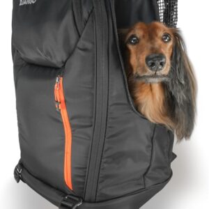 DJANGO Dog Carrier Backpack – Pet Backpack for Small Dogs & Cats with Hip Belt, Laptop Pocket & Water Bottle Sleeve – Travel Dog & Cat Carrier for Hiking, Camping & Commuting (Midnight Black)