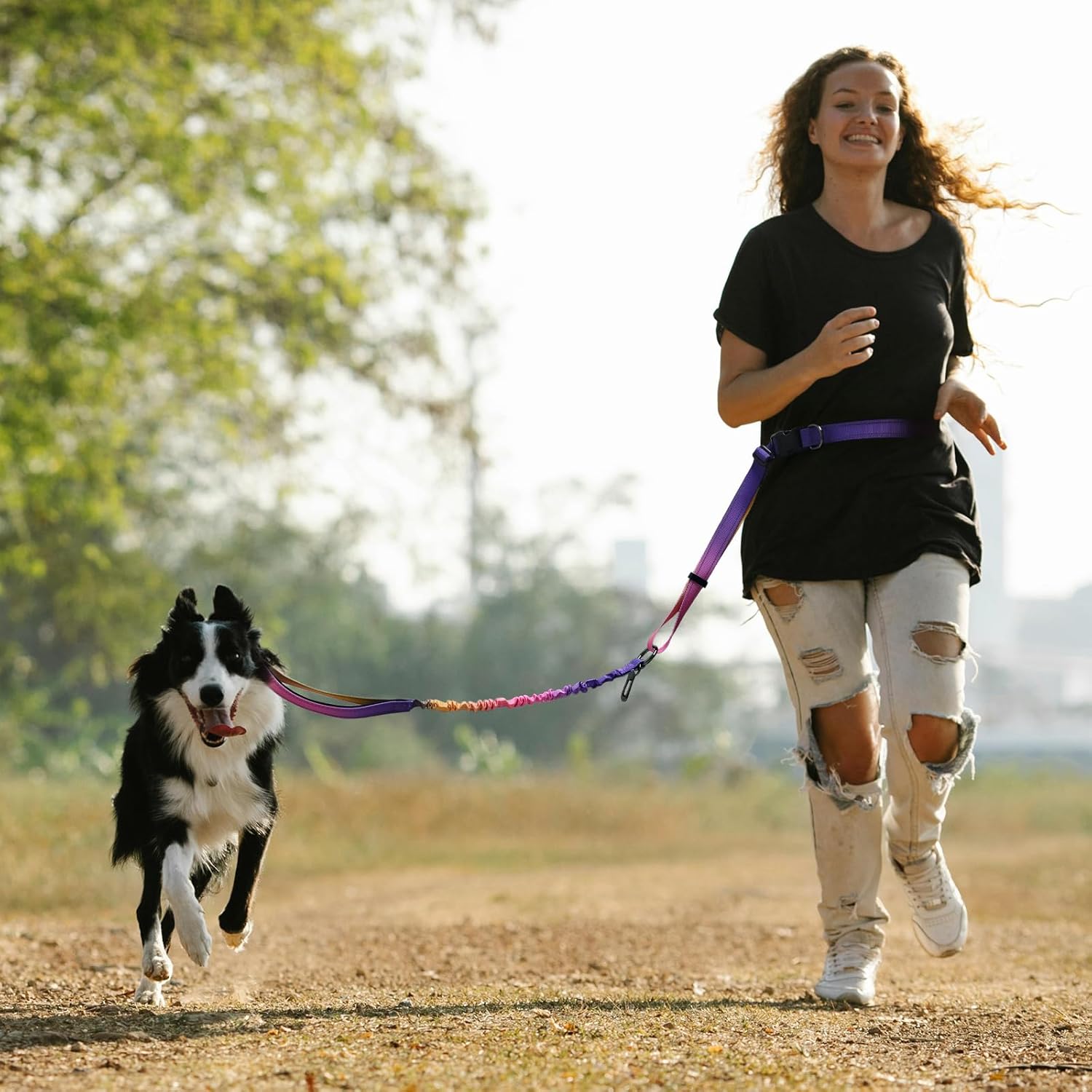 Roses&Poetry Hands Free Dog Leash for Medium Large Dogs Heavy Duty, No Pull Bungee Dog Running Waist Leash for Walking Training with Car Seatbelt 4-6FT - Image 2