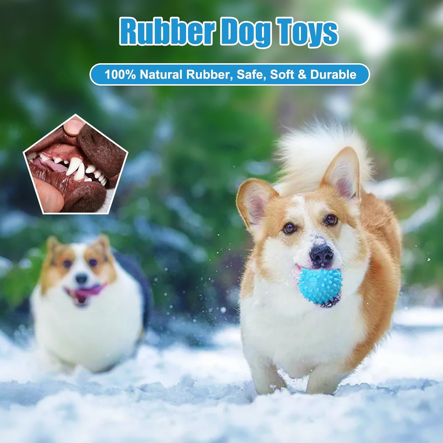 6PCS Puppy Chew Toys for Teething, Interactive Pink Blue Small Dog Enrichment Toys for Small Medium Dogs Soft Rubber Puppy Teething Toys Dog Toy Pack for Small Puppies - Image 3