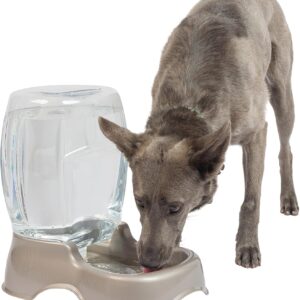Petmate Pet Cafe Cat and Dog Water Dispenser – Water Bowl for Cats and Dogs, USA Made, 3 GAL, Pearl Tan