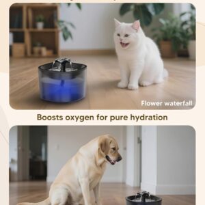 Automatic Cat Feeder and Water Fountain, 4L/16 Cups Timed Cat Dry Food Dispenser, 10s Meal Call, 20 Portions 6 Meals Per Day, 2L Cats Fountains for Drinking with Filter, Pet Feeder for Dog White