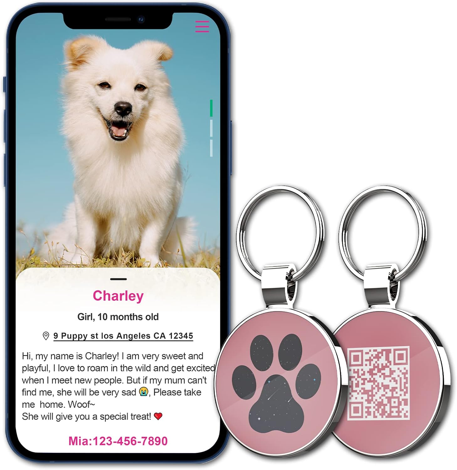 MYLUCKYTAG ID Tags Dog Tags - Pet Online Profile - Scan Receive Instant Location Alert Email - Image 4
