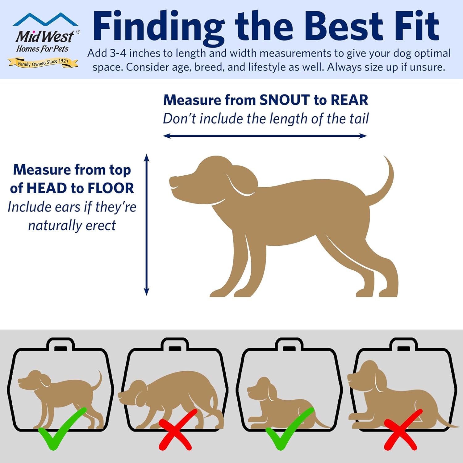 MidWest Homes for Pets Spree Travel Carrier – Hard-Sided Dog & Cat Carrier, Small Pet Travel Crate with Handle, Ventilated Design, Easy Assembly, 24-Inch, Blue - Image 7