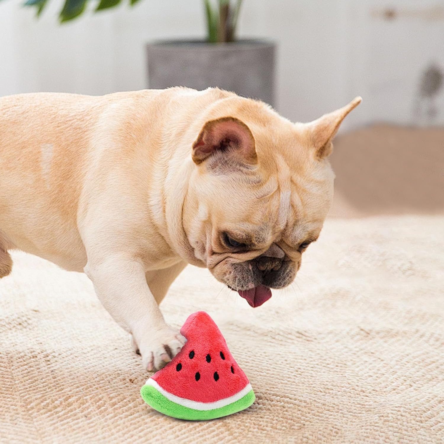 Watermelon Plush Squeaker Dog Toy for Small Large Puppies Durable Chew Cotton with Squeaky Sound Interactive Play Reduce Boredom Pet for Dog Owners (Watermelon Red) - Image 3