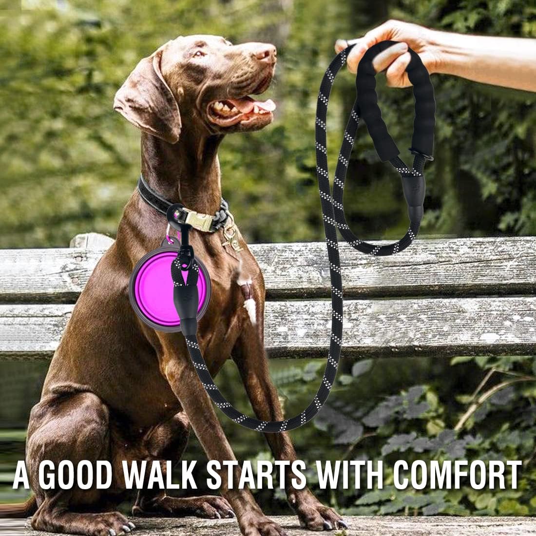 COOYOO 2 Pack Dog Leash 6 FT Heavy Duty - Comfortable Padded Handle - Reflective Dog Leash for Medium Large Dogs with Collapsible Pet Bowl Set 3-Black+Purple - Image 2