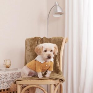 NICETOWN Waterproof Dog Blanket Sherpa Fleece, Small Dogs, Reversible Cat Throw Bed Couch Sofa Furniture Protector, Soft Blanket for Pet Day Pet Lovers Present(24" x 32", Taupe)