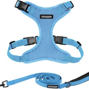 Voyager Step-in Lock Dog Harness w Reflective Dog Leash Combo Set with Neoprene Handle 5ft - Supports Small, Medium and Large Breed Puppies/Cats by Best Pet Supplies - Baby Blue, S