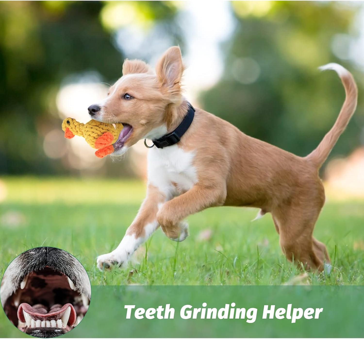 WishLotus 2Pc Dog Rope Toys, Cute Dinosaur and Yellow Duck Shaped Dog Toys for Aggressive Chewers, Cotton Dog Chew Toys for Small Medium Large Breed Teething (Dinosaur+Duck) - Image 5