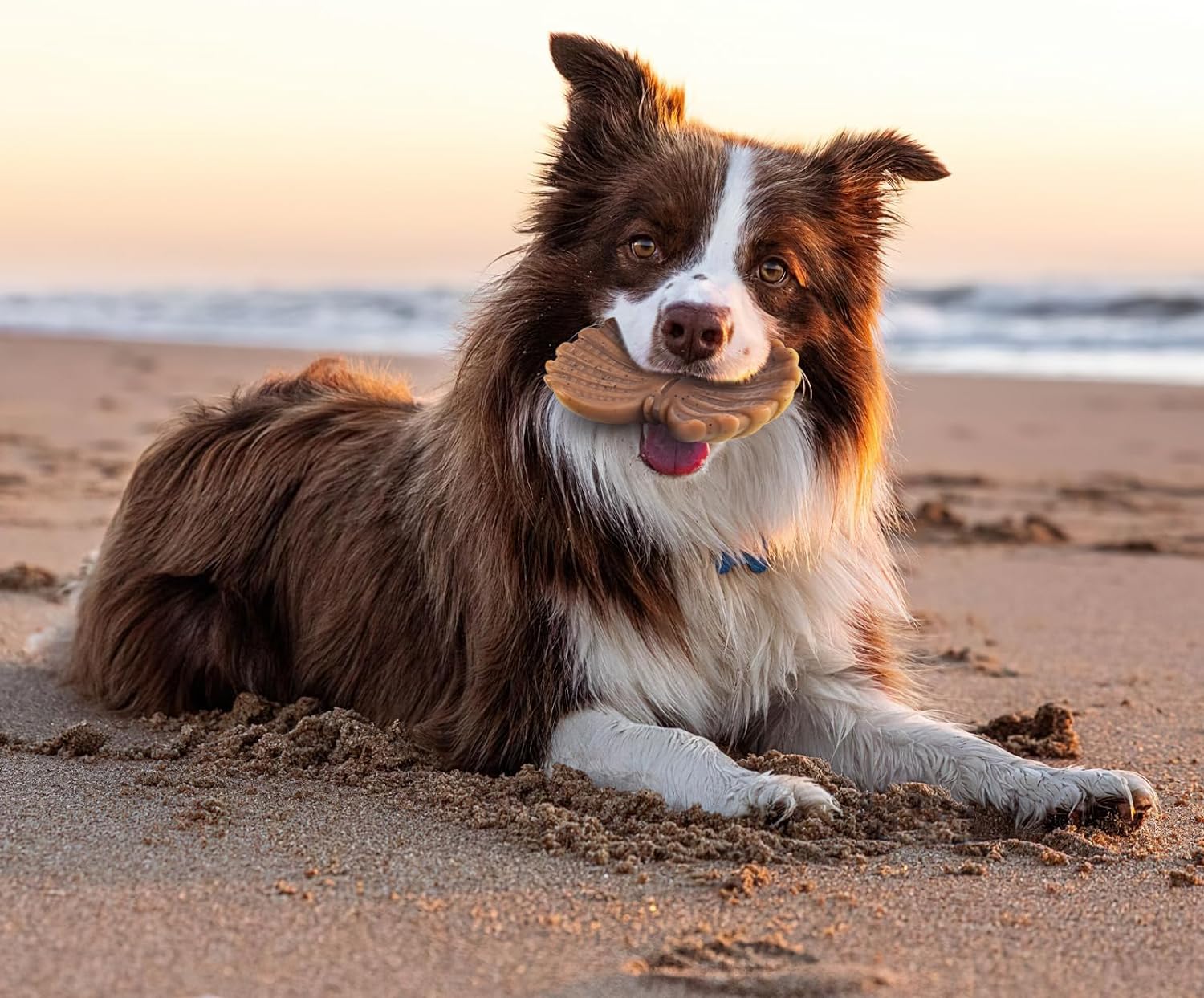 Dog Toys for Aggressive Chewers, Indestructible Toys for Large Dogs, Dog Chew for Large Medium Small Breed, 3 Pack Super Chewer with Tough Nylon, Gift for Dogs - Image 5