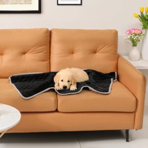 Reversible Dog Blanket 30" x 40" - Water-Resistant Pet Blanket with Plush Warm Side & Cooling Nylon Side - Machine Washable for Car, Couch, Bed & Furniture - Grey/Black, Small