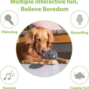 PETGEEK Interactive Dog Ball Toy, Automatic Dog Toys with Music and Re...