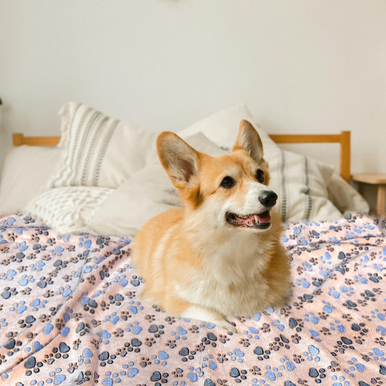 Dog Blankets for Large Dogs, 1 Pc Dog Blanket Washable, Soft Fluffy Flannel Pet Blanket Mat Cover for Bed Couch, Cute Print Puppy Blanket 60" x 50" - Image 7