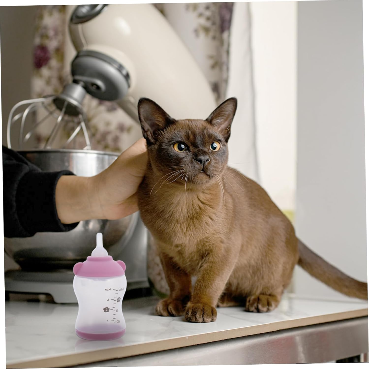 SUPVOX 2pcs Kitten Milk Feeder Bottles Portable Nursing Supplies for Newborn Pets Travel-Friendly Design with Natural-Like Nipples for Kittens and Puppies Blue Pink - Image 7