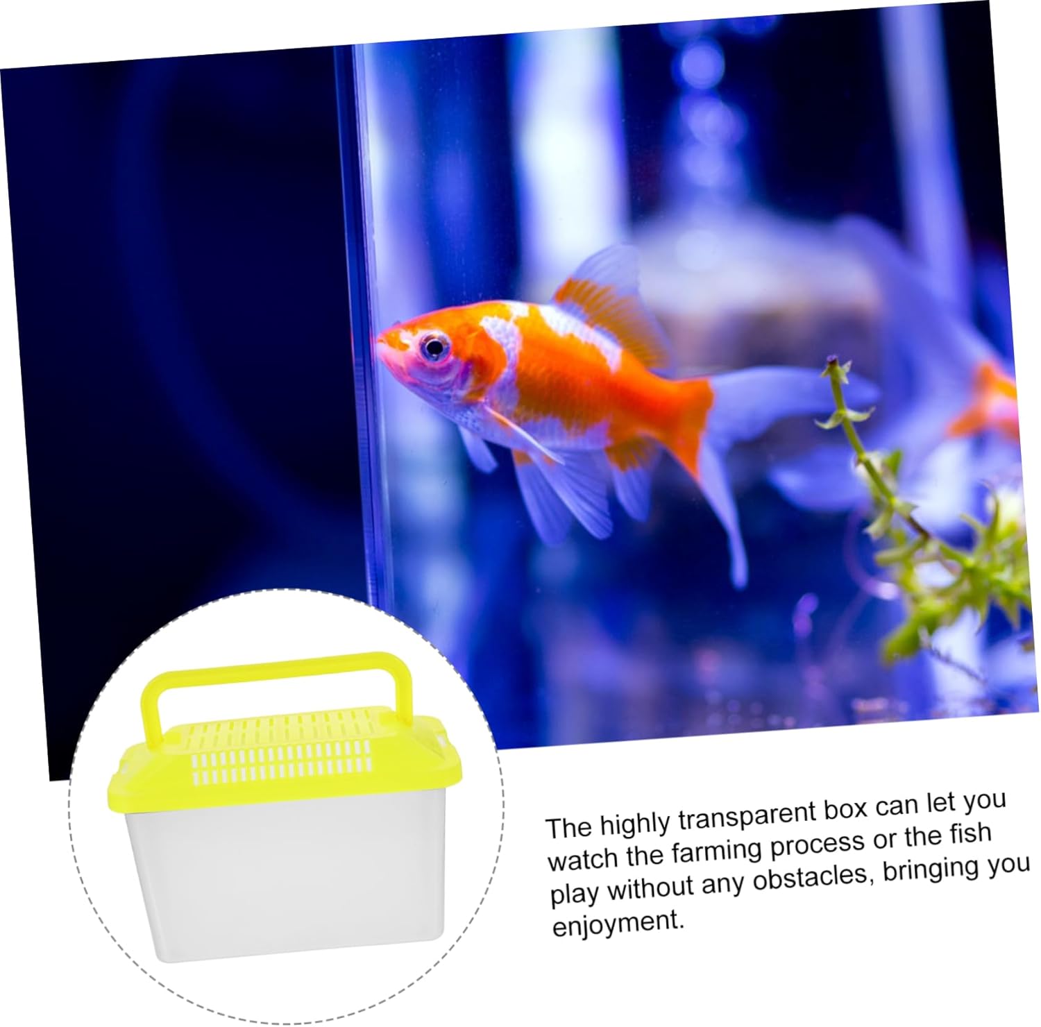 BESPORTBLE Portable Handheld Aquarium Tank for Pets Transparent Turtle Box and Hamster Carrier Lightweight and Compact Design for Travel and Feeding Lid - Image 5