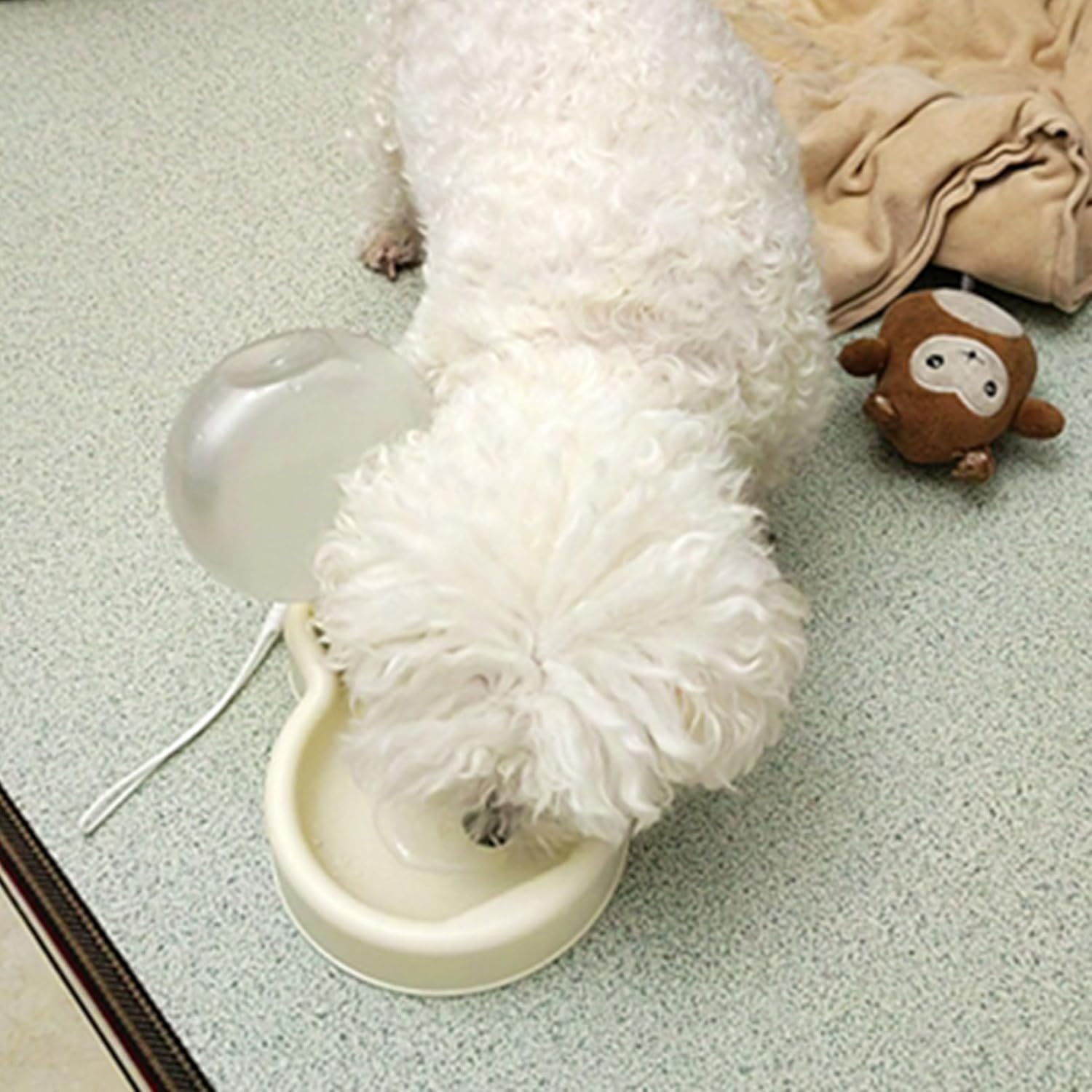 Portable Dog Water Bottle Dispenser, 17oz Dog Outdoor Water Bottle Bowl Foldable Pet Travel Eating Drinking Bottle Bowl (White, 16.9oz) - Image 9