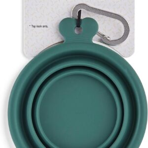 EveryYay Open-Air Eats Collapsible Bowl for Dogs 1 Cup