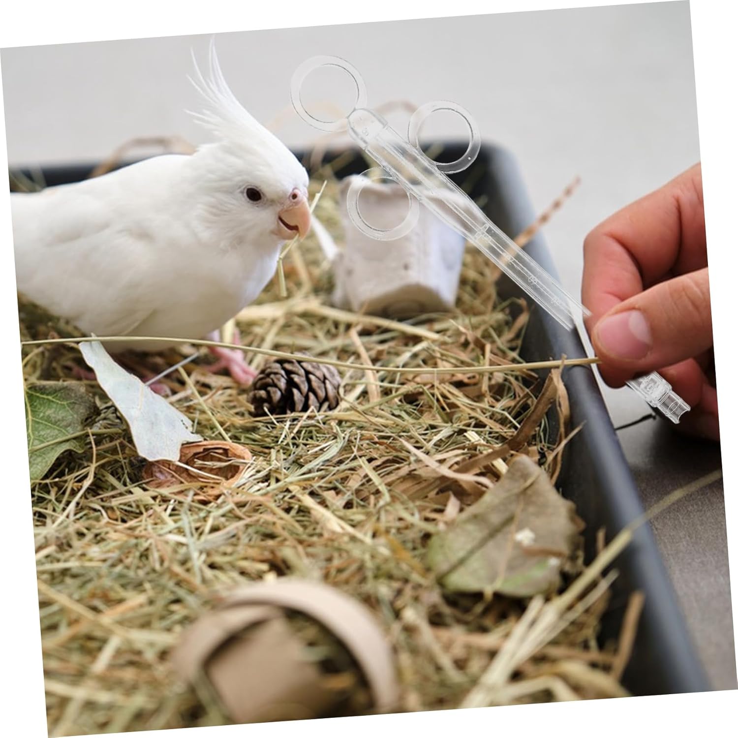 Mikikit 2Pcs Bird Feeding Tubes Durable Pigeon Feeder for Cockatiels Parrots Transparent Design Easy to Clean for Liquid Feeding Travel - Image 6