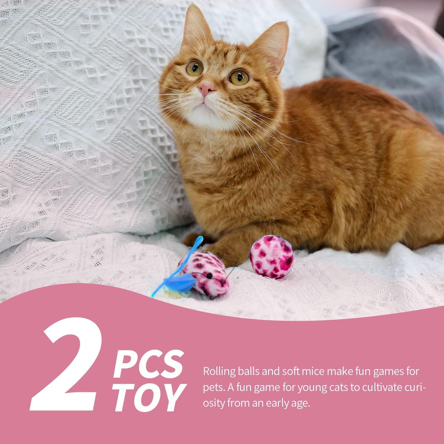 PAWISE Small Cat Litter Box Kit for Kittens – 5‑Piece Kit with Low Entry Litter Pan, Scooper, Feeding Bowls & Mouse Toy – Cat Starter Set for New Kitty Home, Pink - Image 5