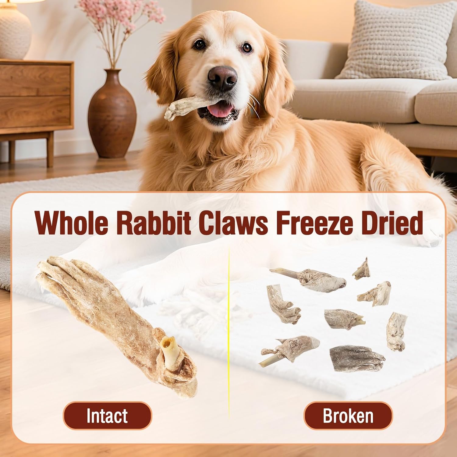 Freeze Dried Rabbit Feet Dog Treats, Natural Grain-Free Chews for Small & Large Dogs Single-Ingredient, High-Protein Freeze Paw Food for Training - Image 3