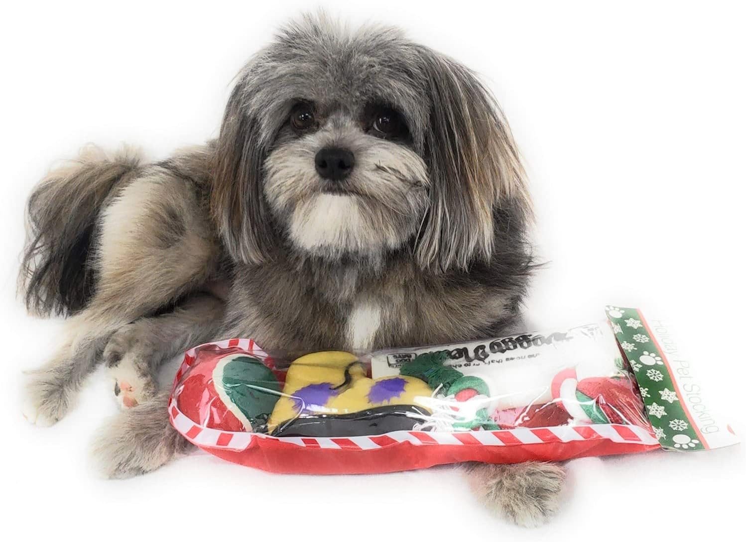 Christmas Stocking for Dogs. Squeaky newspaper toy, squeaky boot toy, a red, green and white tennis ball and a red, white and green cotton knotted rope. - Image 2