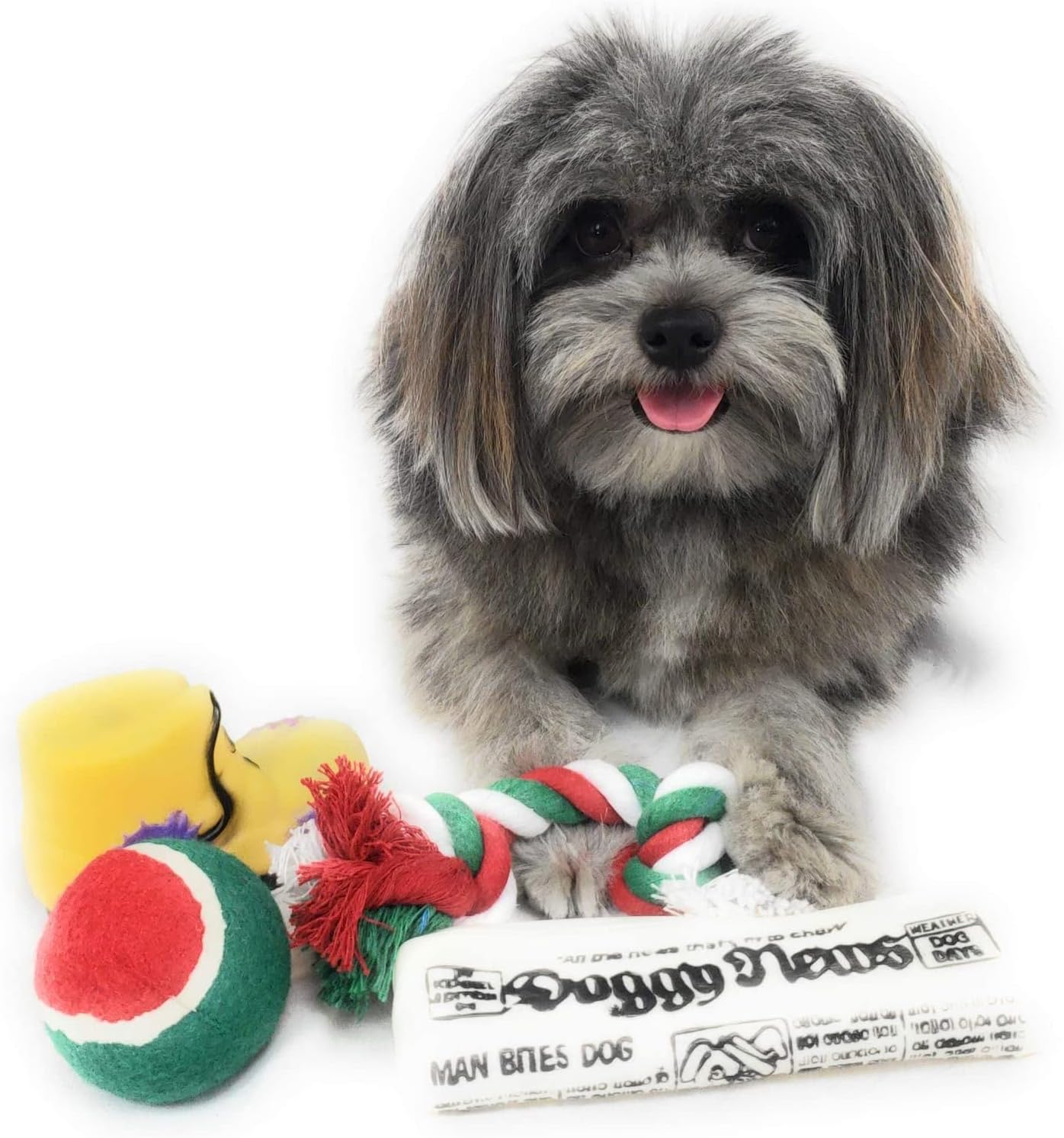 Christmas Stocking for Dogs. Squeaky newspaper toy, squeaky boot toy, a red, green and white tennis ball and a red, white and green cotton knotted rope. - Image 6