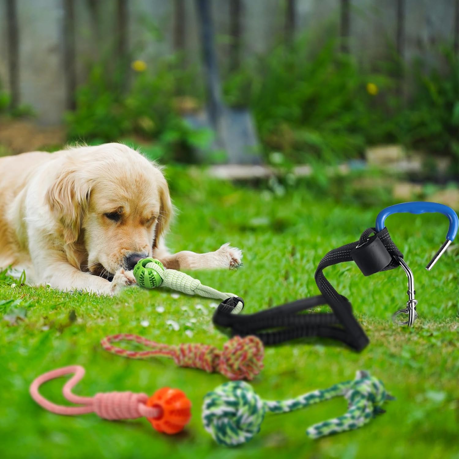 6 Pcs Dog Bungee Tug Toys with Stakes Dog Tug of War Toys Set Outdoor Chew and Tether Play Cord Interactive Supplies for Indoors Outdoors Lawns Trees Large Medium Small Doggie - Image 5