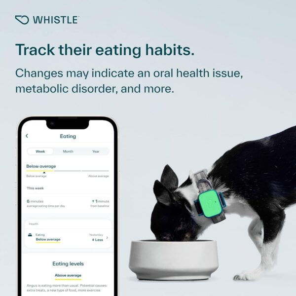 Whistle Health Smart Device | Dog Health and Fitness Tracker | Track Scratching, Licking, Drinking, Eating, Sleeping, and Activity, Green - Image 5