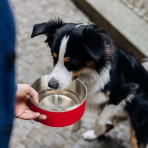IKITCHEN Dog Bowl for Food and Water, 40 Oz Stainless Steel Pet Feeding Bowl, Durable Non-Skid Double Wall Insulated Heavy Duty with Rubber Bottom for Medium Large Dogs (40 Ounces/5 Cup, Red)