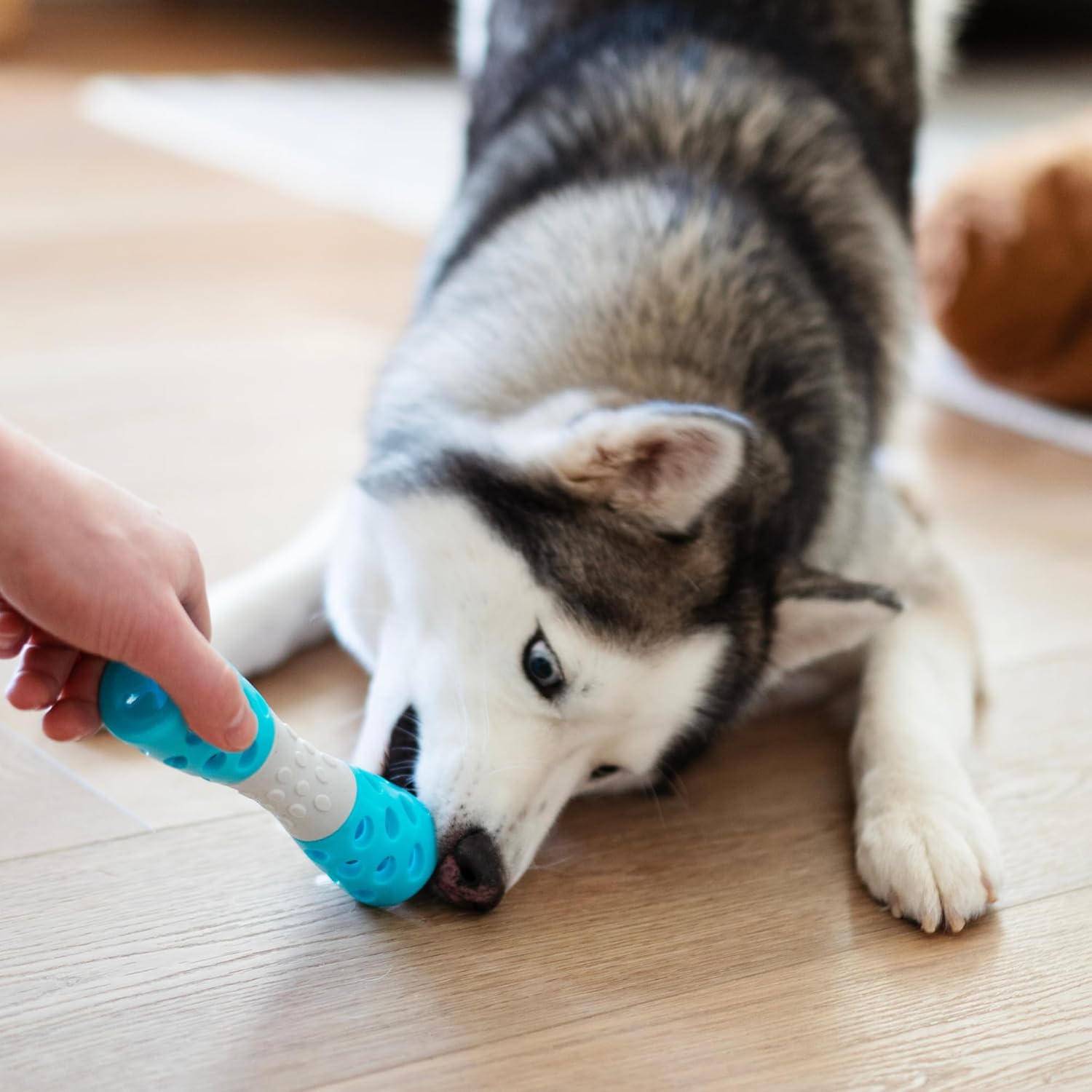 Messy Mutts Totally Pooched Toss 'n Stuff Hourglass | Interactive Treat and Squeak Toy for Dogs | Durable 7” TPR Dog Toy | Orange - Image 7