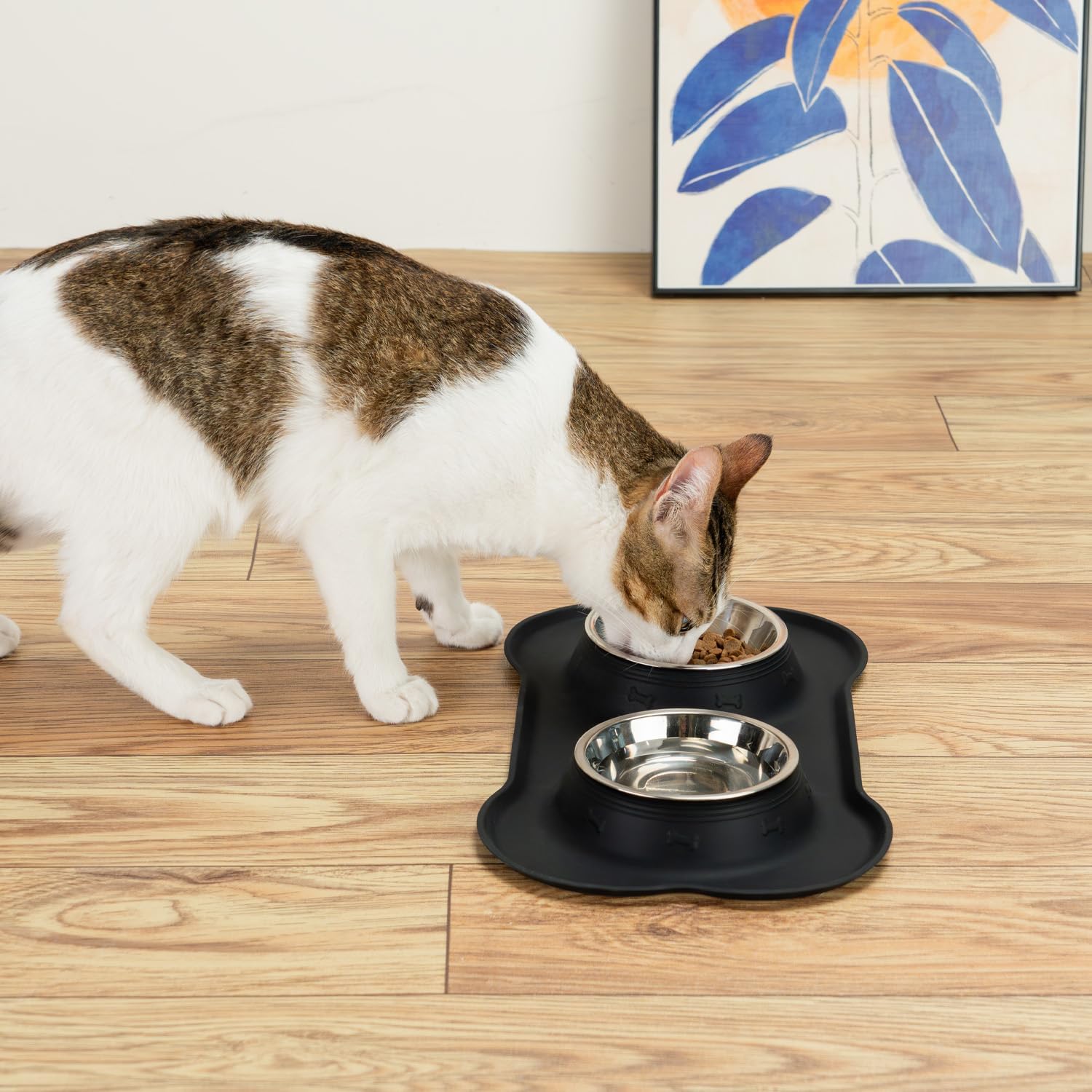 Dog Bowls with Silicone Feeding Mat, No Spill Food Water Dish Set, Dishwasher Safe, 2 Stainless Steel Puppy Bowls,Suitable for Tiny Dogs Kittens Cats Rabbits Pets under 8lbs, Extra Small, Black - Image 9