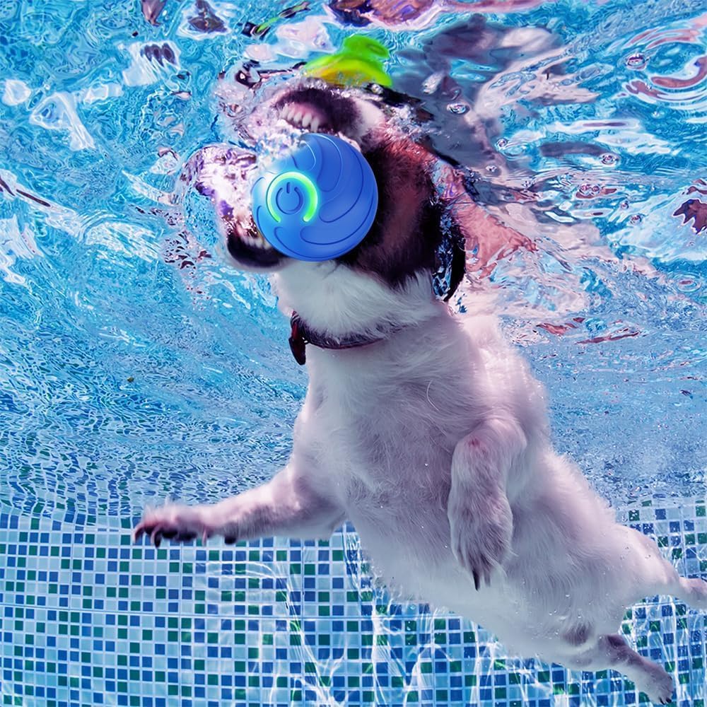 Upgrade Dog Ball 2Pcs, Interactive Dog Toys for Small and Large Dogs, USB Rechargeable Durable Motion Activated Automatic Rolling Ball Toys (Blue+Orange) - Image 4