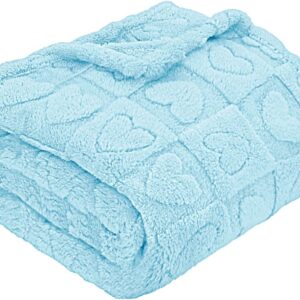 MACEVIA Fluffy Fleece Dog Blankets,Warm Soft Fuzzy Pets Blanket for Puppy,Small,Medium,Large Dogs and Cats,Plush Pet Throws for Bed,Couch,Sofa,Travel(29x40 Inch, Light Blue)
