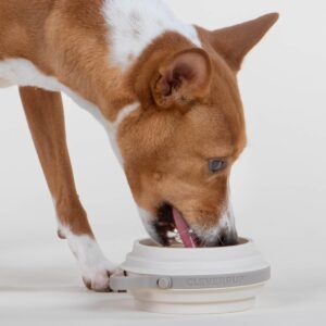 Nomad Small Collapsible Dog Bowl – 2 Cup Food-Safe Silicone Trav...