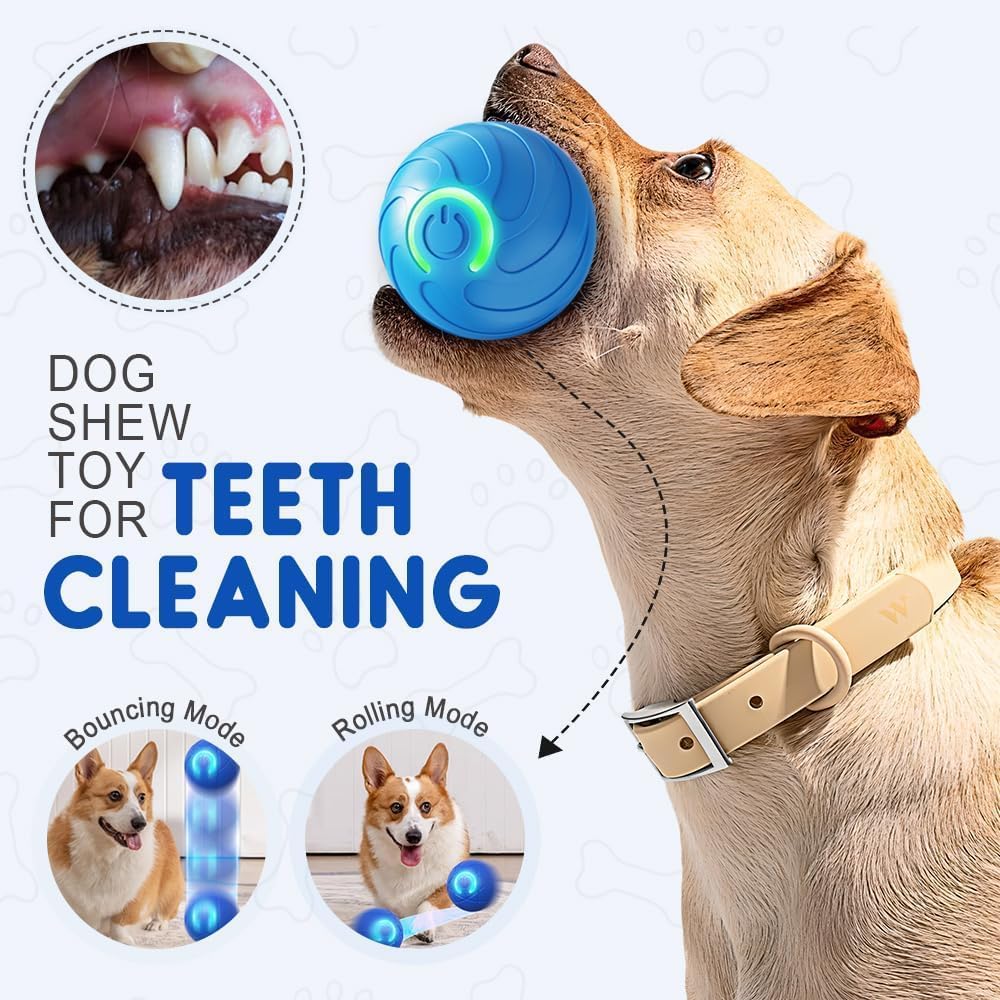 Upgrade Dog Ball 2Pcs, Interactive Dog Toys for Small and Large Dogs, USB Rechargeable Durable Motion Activated Automatic Rolling Ball Toys (Blue+Orange) - Image 5