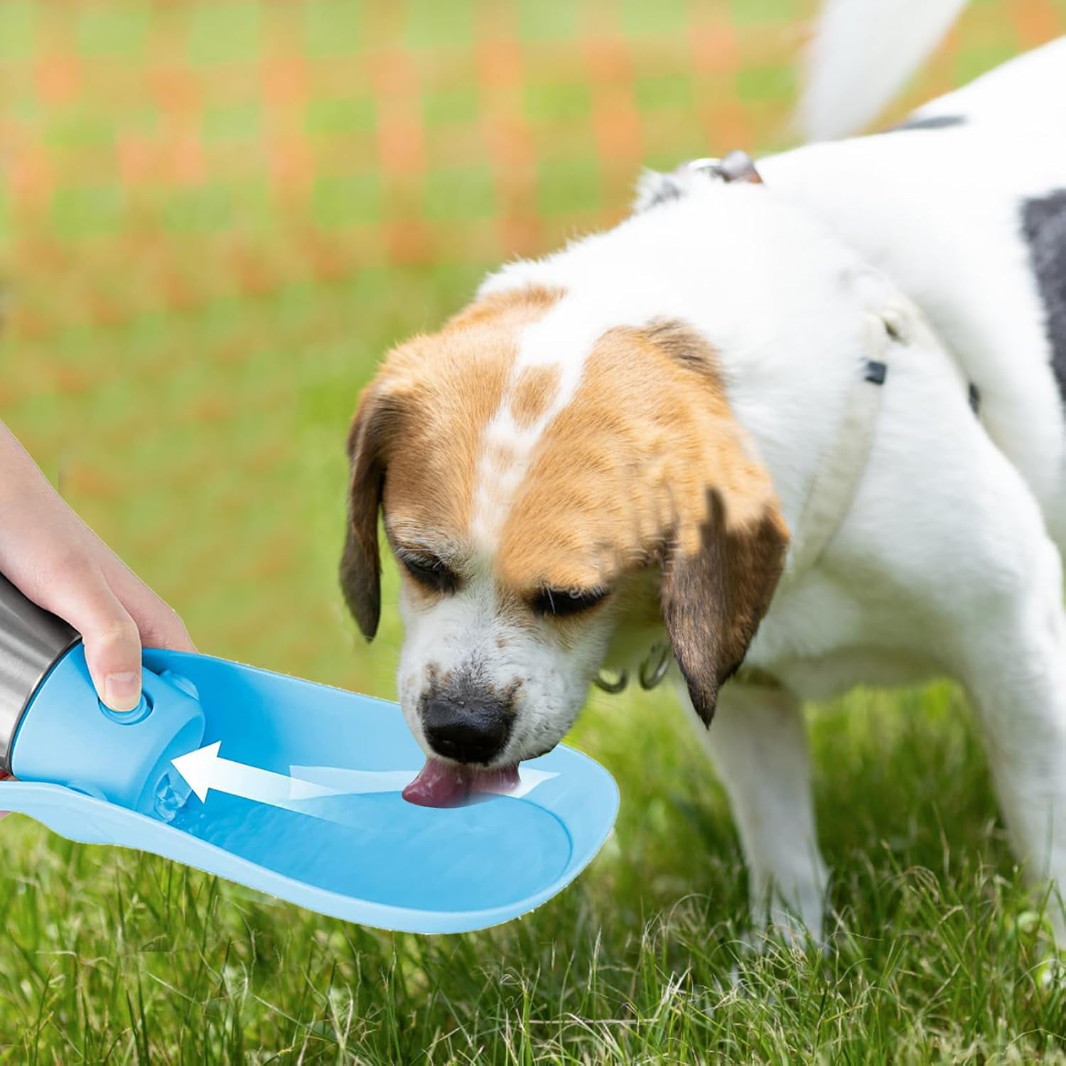 Dog Water Bottle, 27oz(750ml) Large Portable Dog Water Bottle, Dog Travel Water Bottle, Dog Water Bottle Dispenser, Stainless Steel Pet Travel Cup Outdoor Dog Water Bowl Bottle (Gray) - Image 6