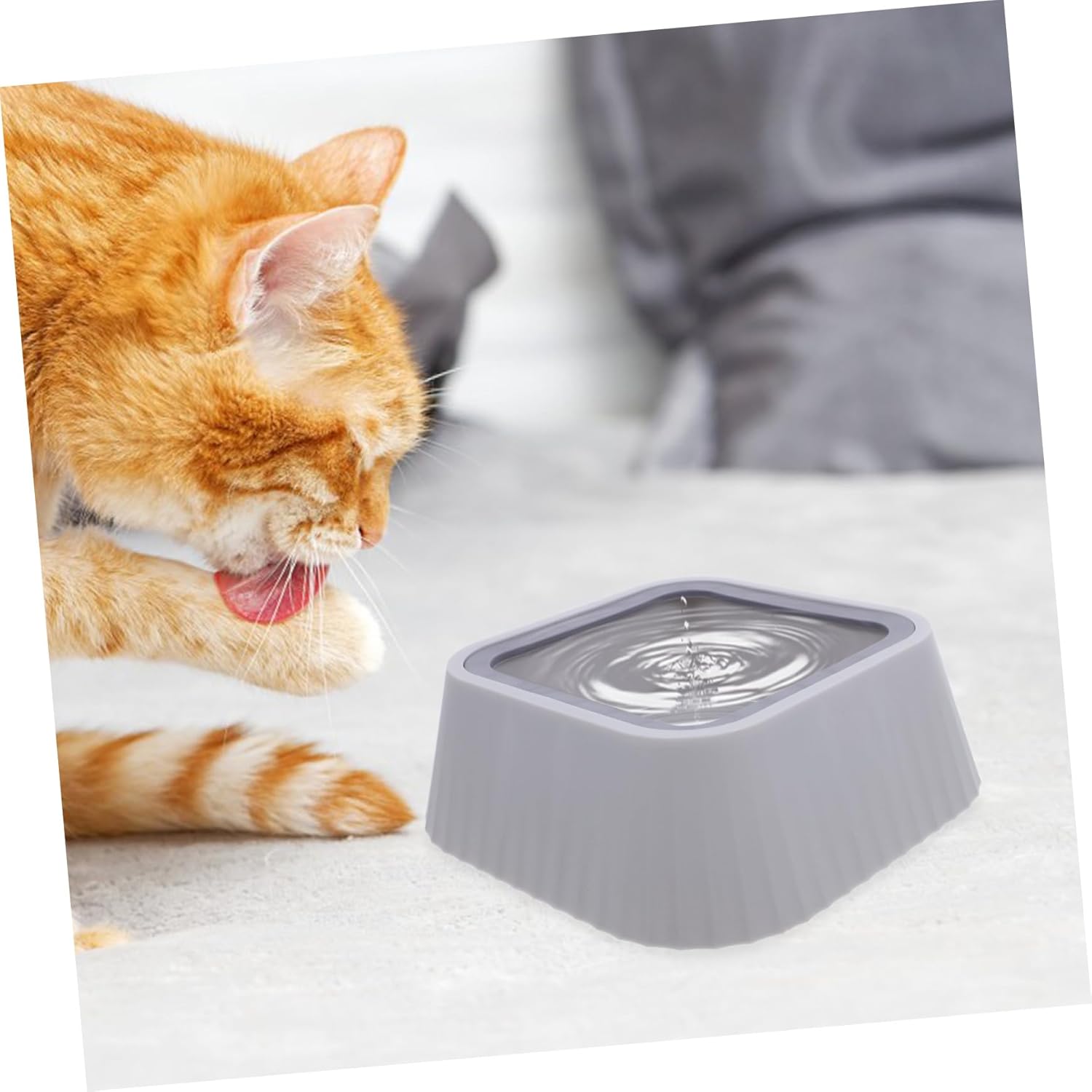 No Spill PET Water Bowl for Dogs and Cats Floating Tip Design 1.5L Capacity Easy PET Feeder with Non-Slip Base for Home and Travel - Image 6