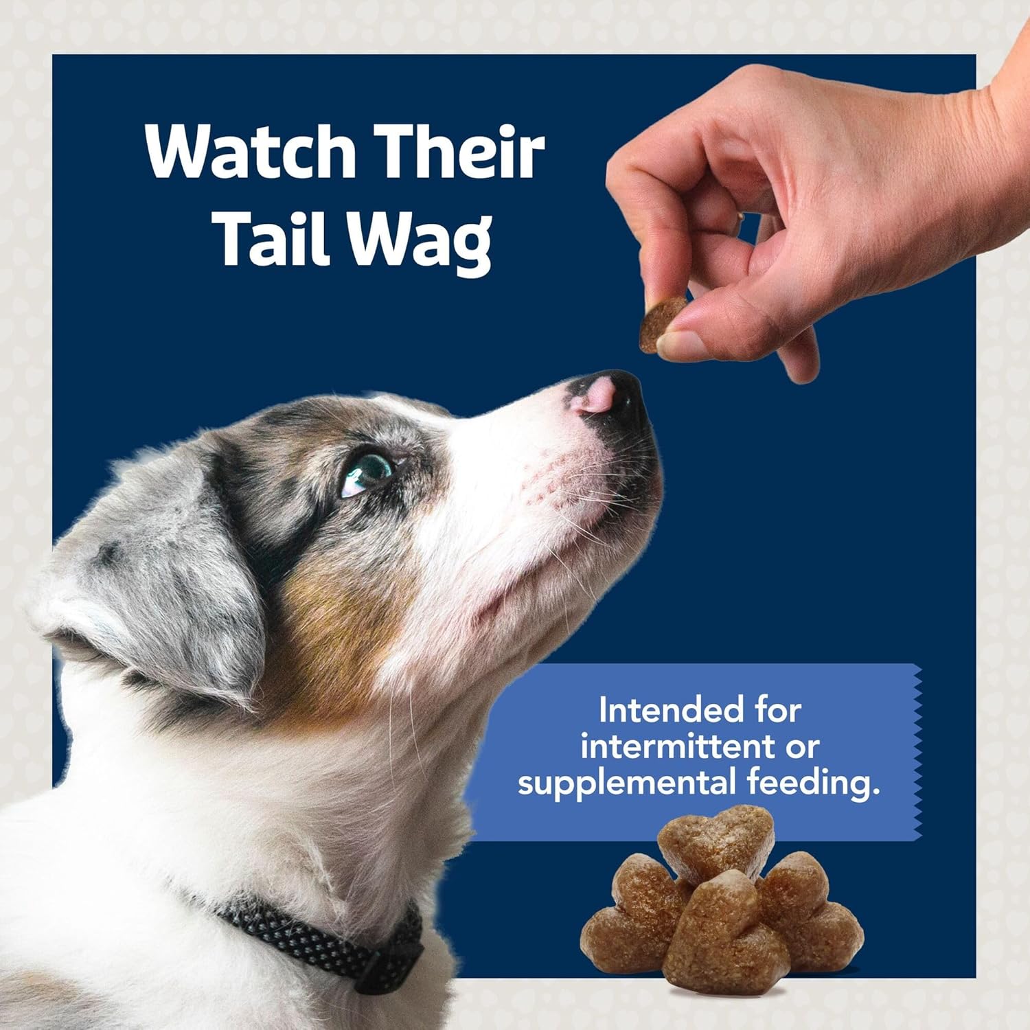 Blue Buffalo BLUE Bits Natural Soft Moist Training Dog Treats TOGO Chicken Recipe Bags, contains Twelve (12) oz bags - Image 8