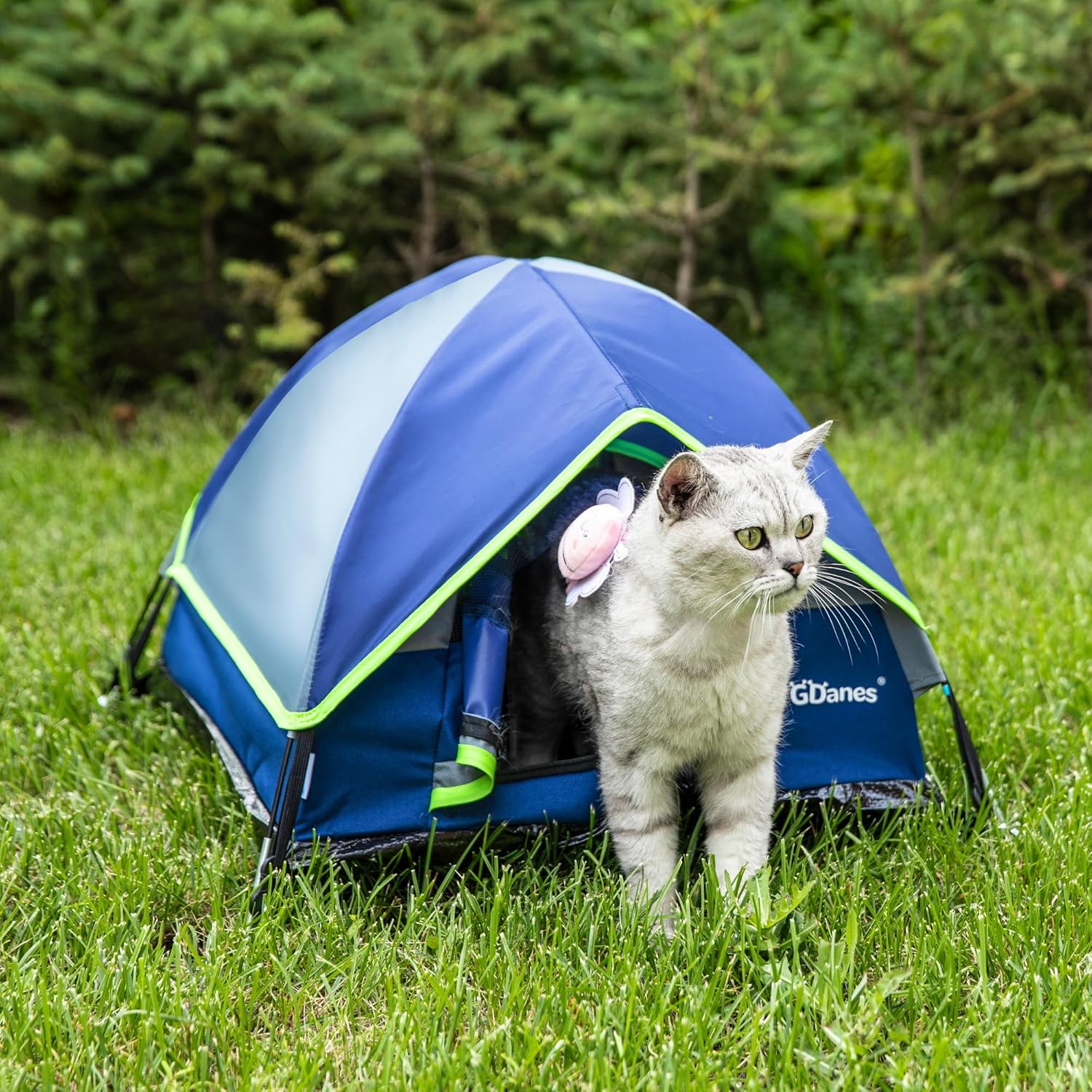 GDanes Blue Cat Tent, Large Cave Bed for Indoor Cats and Small Dogs with Soft Pad - 22" x 22" x 16" - Image 6