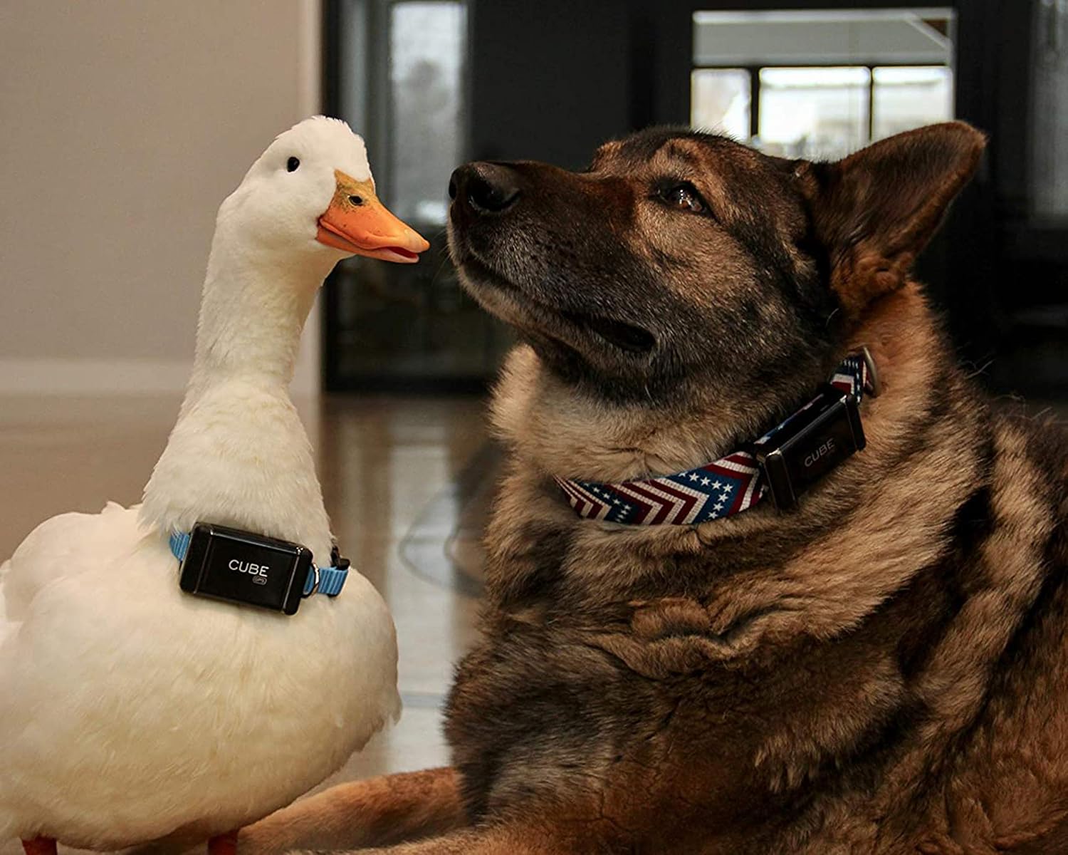 Cube GPS Tracker Collar / Strap Attachment Clips - For Tracking Dogs, Cats, Pets, People, Backpacks, & More - Strong Fitted Durable Retainer Clips to Monitor Activity at a Distance (3 Sizes Per Pack) - Image 7