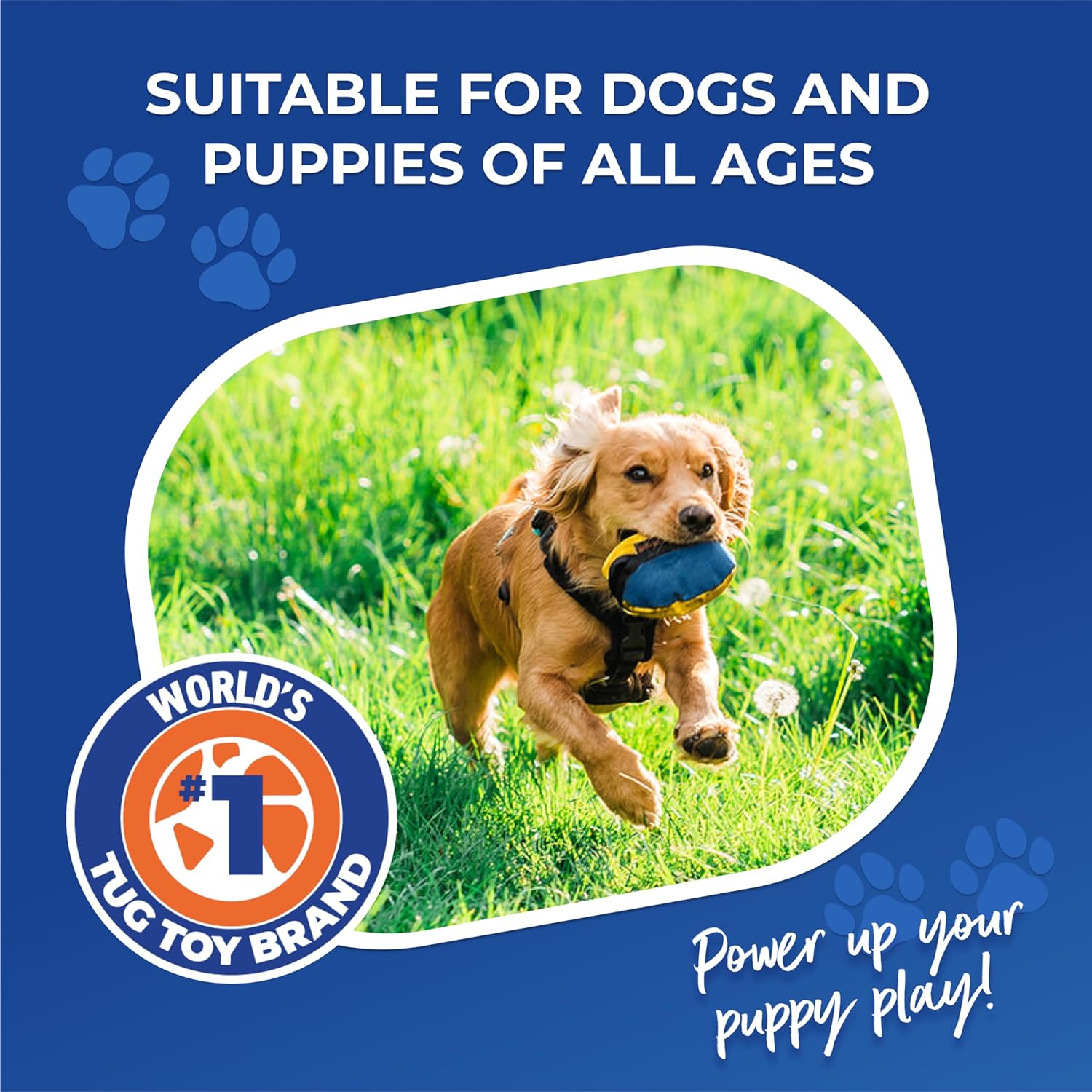 Tug-E-Nuff The Clam | Compact Dog Treat Dispenser Toy with Clever Opening Mechanism | Ideal for Interactive Dog Training | Pocket-Friendly and Size 4.5 inches - Image 5