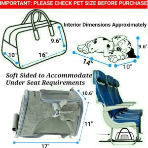 Mr. Peanut’s Backpack Pet Carrier, Soft Sided Tote for Smaller Cats & Dogs, Check Sizing Before Purchase, Self Locking Zippers & Faux Fleece Padding (Platinum Gray)