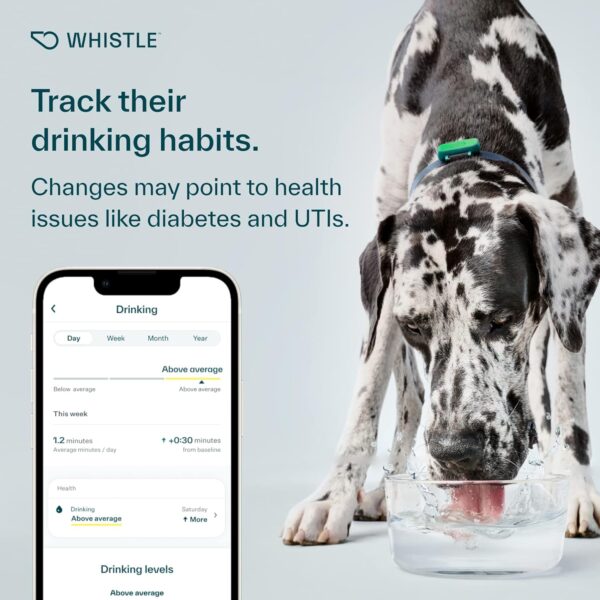 Whistle Health Smart Device | Dog Health and Fitness Tracker | Track Scratching, Licking, Drinking, Eating, Sleeping, and Activity, Green - Image 4