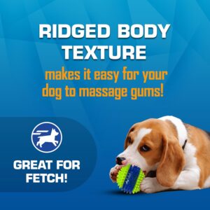 Nerf Dog Toy Gift Set, 3-Piece Set of Outdoor Dog Toys for Fetch, Incl...